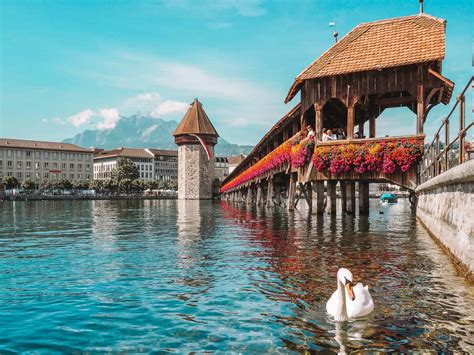 Lucerne .